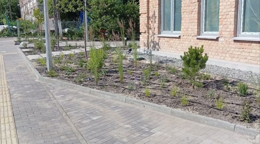 Завершено систему зовнішнього та декоративно-ландшафтного освітлення Реабілітаційного центру в Полтавській області.