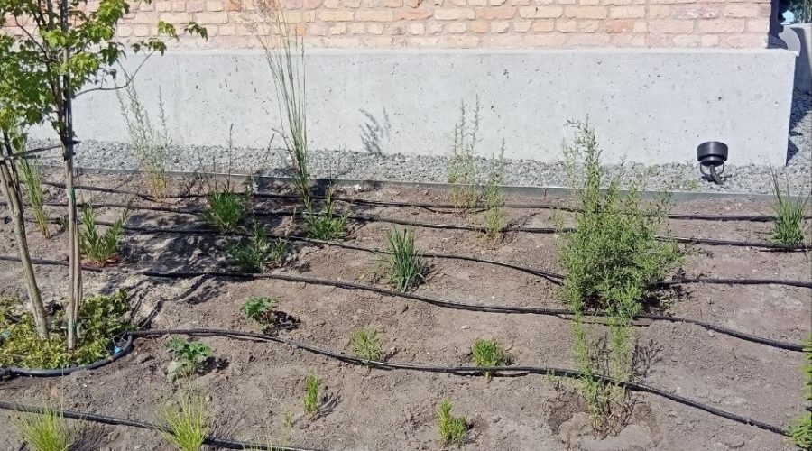 Завершено систему зовнішнього та декоративно-ландшафтного освітлення Реабілітаційного центру в Полтавській області.